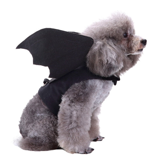 Halloween Bat Wing Dog Costume