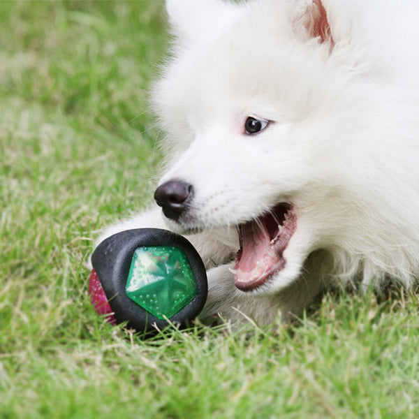 Sound and Light Bouncing Pet Ball