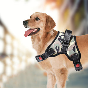 Dog Safety Harness