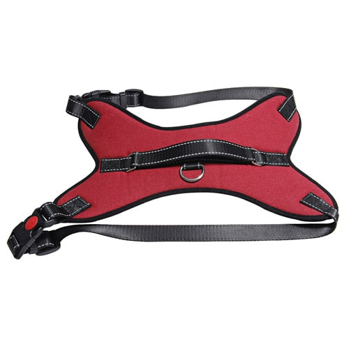 Dog Safety Harness
