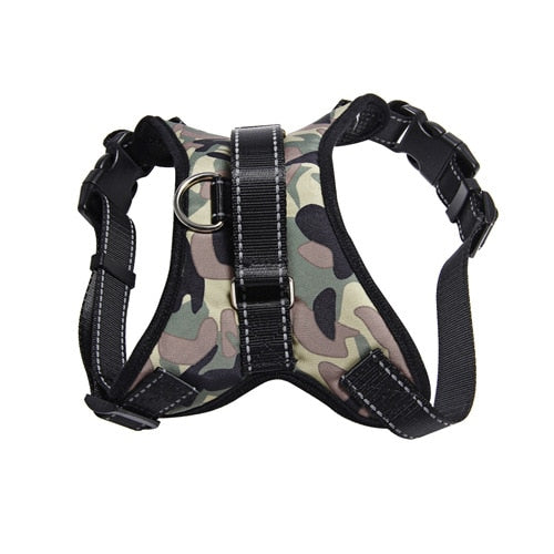 Dog Safety Harness