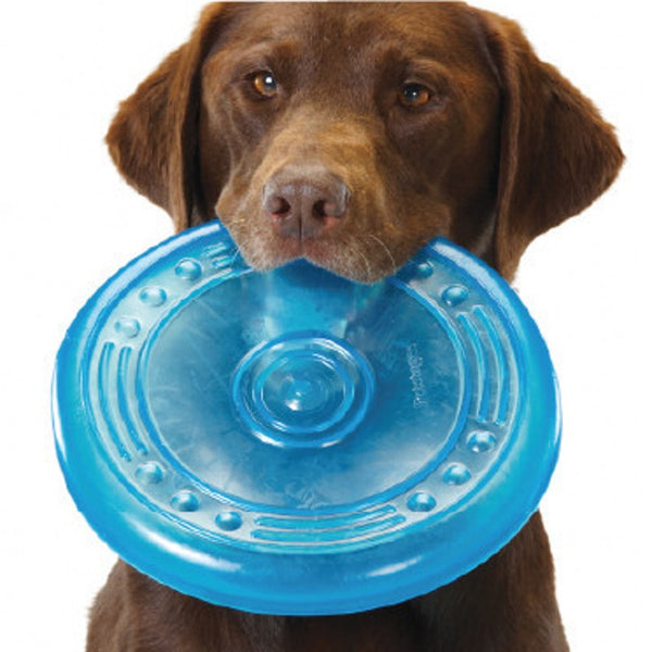 Blue Soft Rubber Frisbee (Disc)
