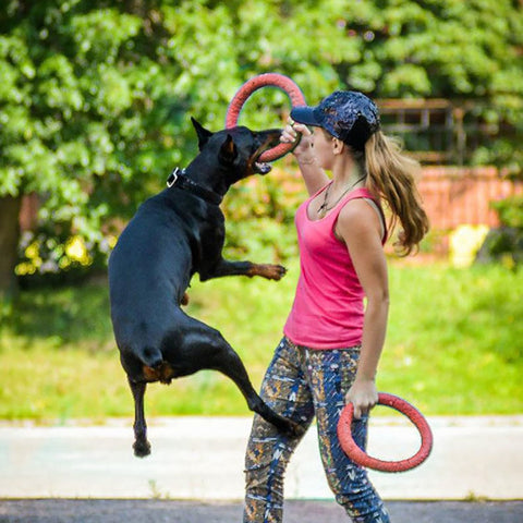 EVA Ring Shaped Dog Disc