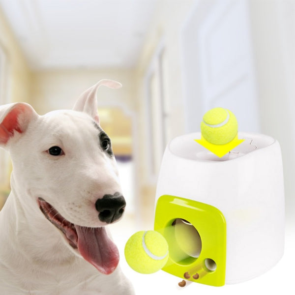 Interactive Tennis Ball & Treat Launcher